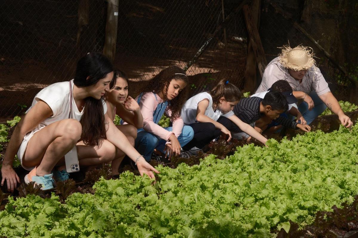 Brotas Eco Hotel Fazenda المظهر الخارجي الصورة
