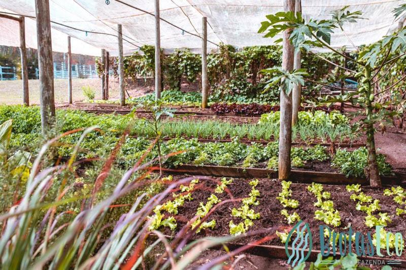 Brotas Eco Hotel Fazenda المظهر الخارجي الصورة