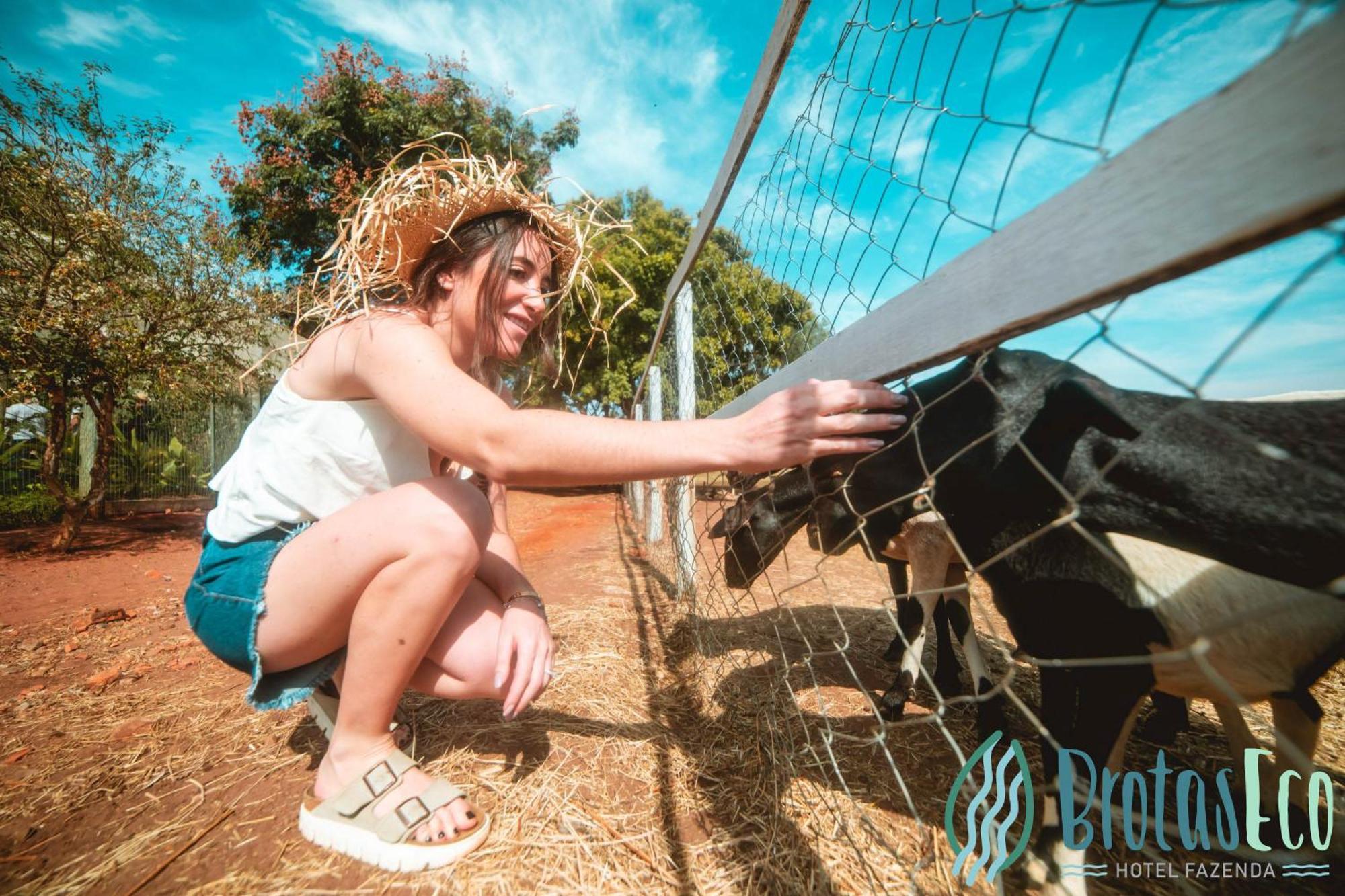 Brotas Eco Hotel Fazenda المظهر الخارجي الصورة
